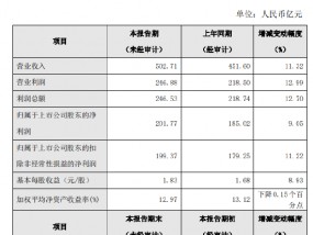 南京银行公布2024年度业绩快报：实现净利润201.77亿元，同比增长9.05%