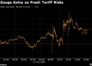 纽约汇市：美元上涨 特朗普拟于下周宣布对等关税措施