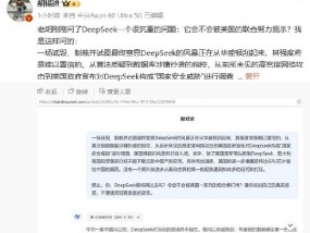 DeepSeek回复胡锡进：华盛顿的组合拳打不垮DeepSeek