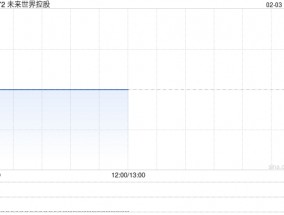 未来世界控股发行142.86万股代价股份