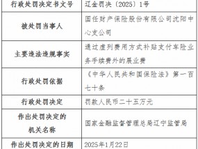 国任财险沈阳中心支公司被罚25万元：通过虚列费用方式补贴支付车险业务手续费外的展业费