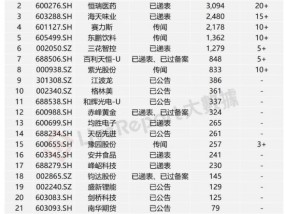 2025年港股IPO趋势：“A+H”将成今年新股主力部队