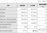 石头科技2024财报：四季度营收破纪录、投入加大或致利润未同步增长