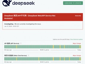 DeepSeek服务被挤“宕机”，雷军千万年薪挖角的“天才少女”曾是开发者之一