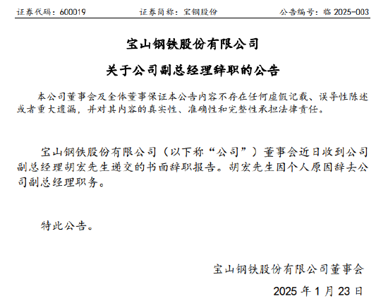 宝钢股份副总胡宏被带走调查，公司公告称因个人原因辞职